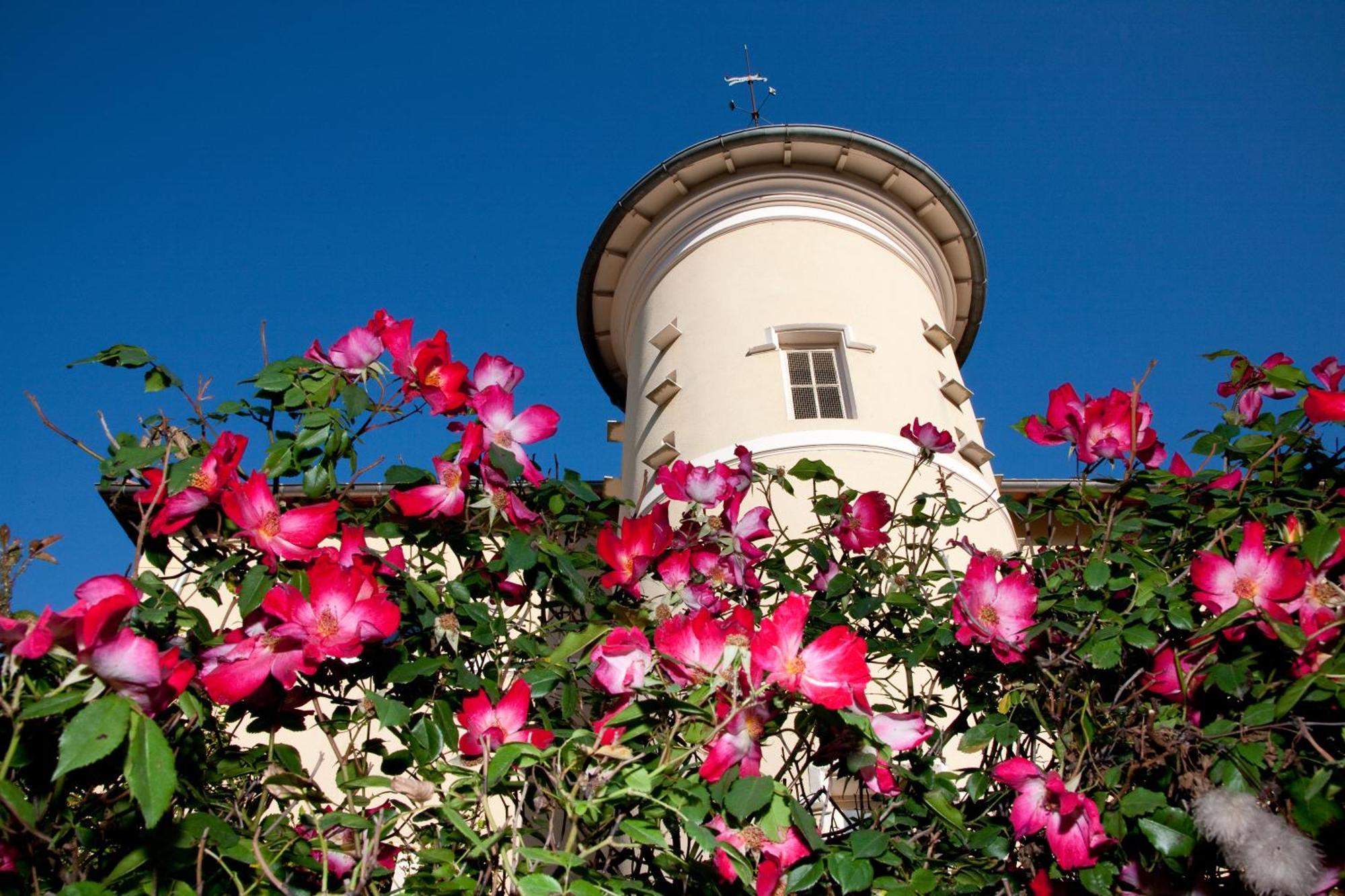 Chateau De Bellevue B&B Villié-Morgon Εξωτερικό φωτογραφία